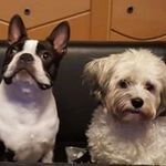 Manuela Gruber - @manuela.gruber.963 - Instagram