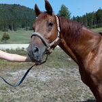 Manuela Gruber - @mistral_1 - Instagram
