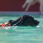 Manuela Hammer - @m.a.n.u_82 - Instagram