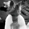 Manuela Hammer - @manuelahammer1 - TikTok