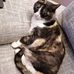 Manuela Hardy - Facebook