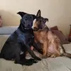 Manuella Hardy - @manuella.hardy - TikTok