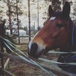 manuela hauser - @manuela.hauser56 - Instagram