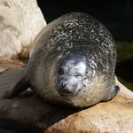 Manuela Herrmann - @manus_zoo_pics - Instagram