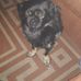 Manuela Herrmann - Facebook
