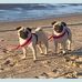 Manuela Jackson - Facebook