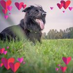 Manuela Keller - @manuela.keller.79 - Instagram