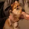 Manuela Keller - @manuela.keller5 - TikTok
