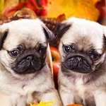 Manuela Krause - @manuela.krause.10236 - Instagram