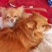 Manuela Krause - Facebook