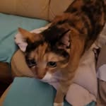Manuela Krause - @manuela1312 - Instagram