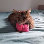 Manuela Lambert - @manuela.lambert1504 - Instagram
