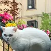 Manuela Lamberti - @manuela.lamberti0 - TikTok