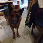 Manuela Lamberts - @manuela.lamberts.37 - Instagram