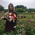 Manuela Harge - @manuelalee - Instagram