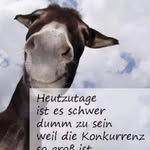 Manuela Lorenz - @manuela5921 - Instagram