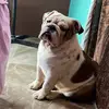 Manuela Lozano Aguir - @manuelalozanoagui - TikTok