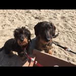 Manuela Ludwig - @manuelaludwig1170 - Instagram