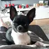 Manuela Ludwig - @manuelaludwig1 - TikTok