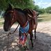 Manuel Alejandro Luque - Facebook