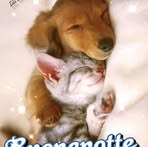 Manuela Mancini - Facebook