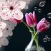 Manuela Mann - Facebook