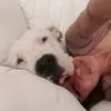 manuela marino - @manuela.marino - TikTok