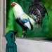 Manuela Mata - Facebook