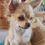 Manuela Vaessen Matthews - @manvaesmattews - Instagram