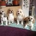 Manuela Maxwell - Facebook