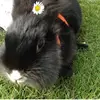 emilie Mayer  - @manuela.mayer - TikTok