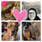 Manuela Mayer - Facebook