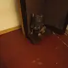 manuelamayer776 - @manuelamayer776 - TikTok