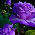 Manuela Mendez - Facebook