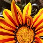 Manuela Mendez - Facebook