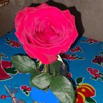 Manuela Mendez - Facebook