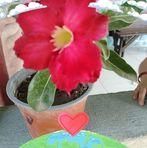 Manuela Mendez - Facebook