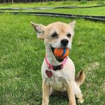 Manuela Miller - @akmama61 - Instagram
