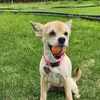 Manuela Miller - @manuela.miller7 - TikTok