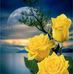 Manuela Moran - Facebook