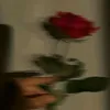 Manuela Moran Enriquez - @manuelamoranenriq - TikTok