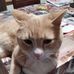 Manuela Morin - Facebook
