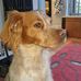 Manuela Morton - Facebook