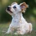 Manuela Neumann - Facebook