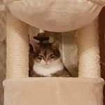 Manuela Neumann - @manuela.neumann.77582 - Instagram