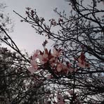 Manuela Noble Galan - Facebook