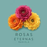 Manuela Peralta - @rosas_eternas_manuela - Instagram