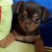 Manuela Pisano - Facebook
