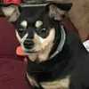 Manuela - @manuelarangel239 - TikTok