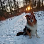 Manuela Röhrig - @manuela.rohrig.1 - Instagram